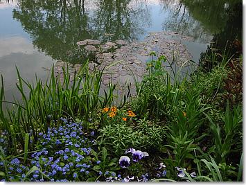 Etang aux nymphéas de Claude Monet
