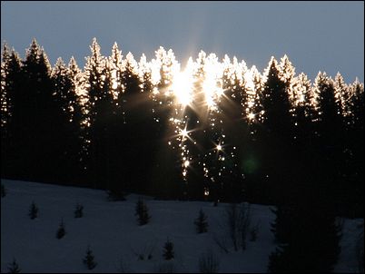 lever de soleil sur les sapins