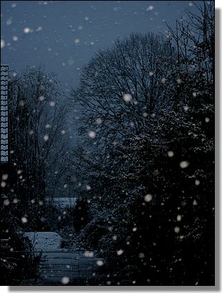 Chute de neige  la Sainte Catherine