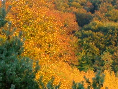 Couleurs d'automne