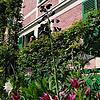 maison de Monet