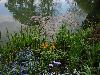 100_giverny0020.jpg