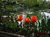 100_giverny0033.jpg