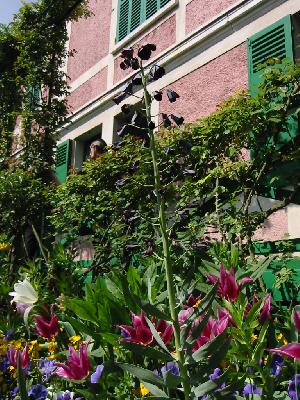 Maison de Monet