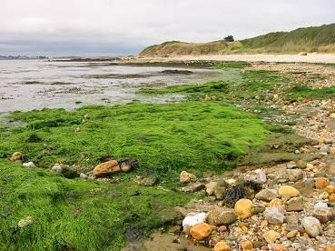 Plage du Halguen