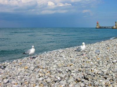 Plage de Fcamp